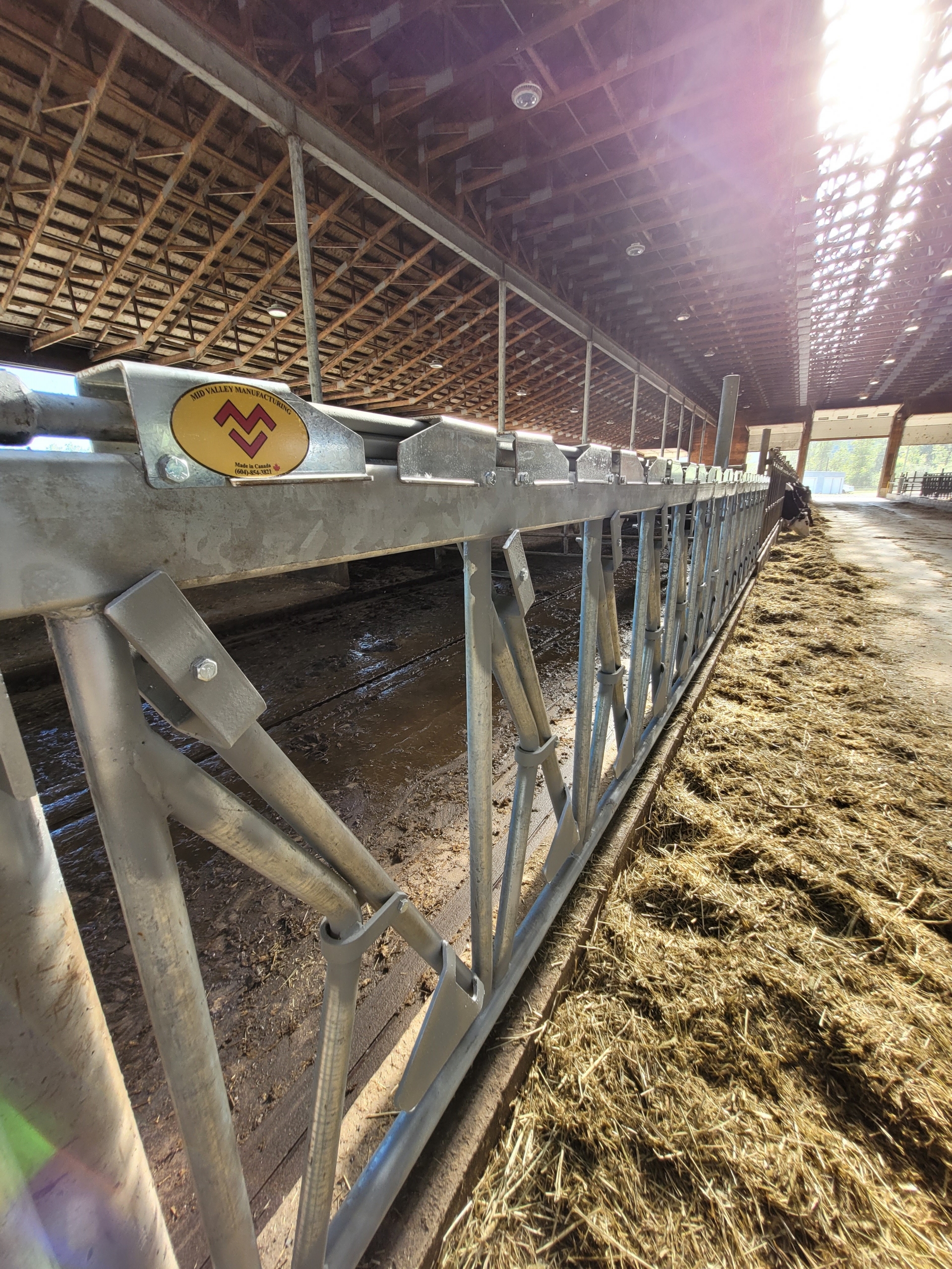 Close up view of dairy barn cow stanchions