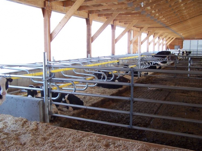 Bewelcome Farms - Custom Calf Barn Design by Mid Valley Mfg