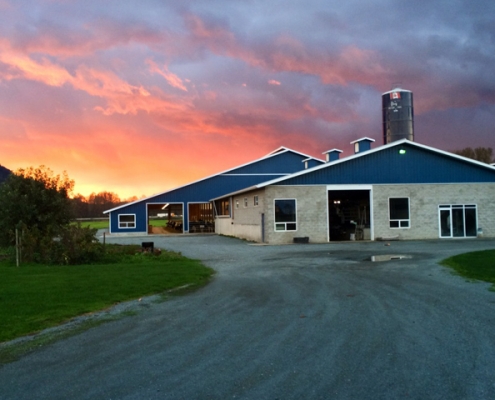 PJV Farms' new dairy barn in Chilliwack BC