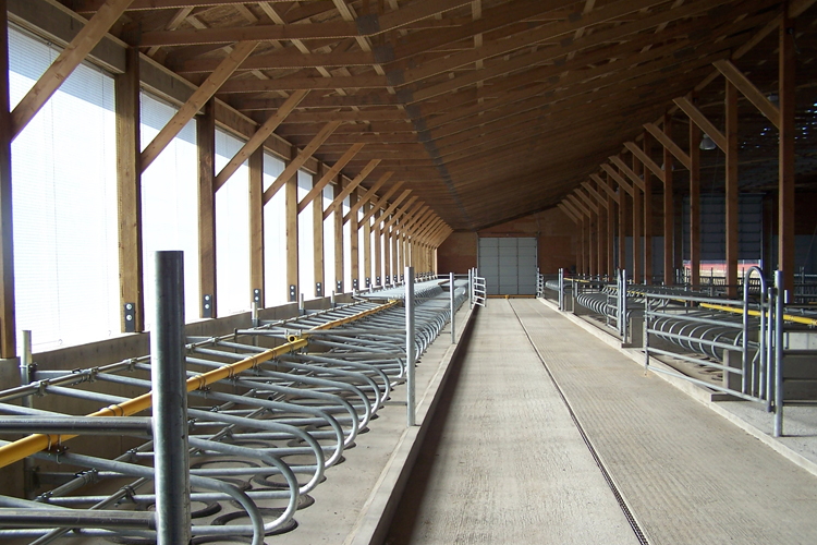 Pickmick Farms Delta BC - barn interior