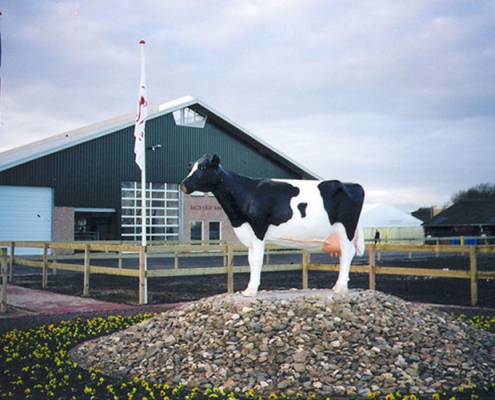 Schep Holsteins Netherland's front view