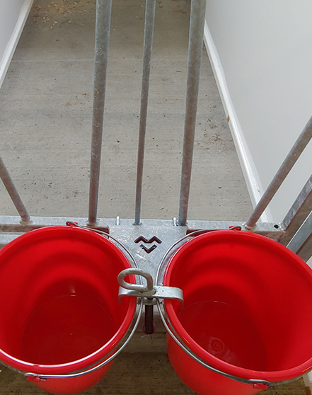 Feed and water buckets installed on the gate of dairy calf housing