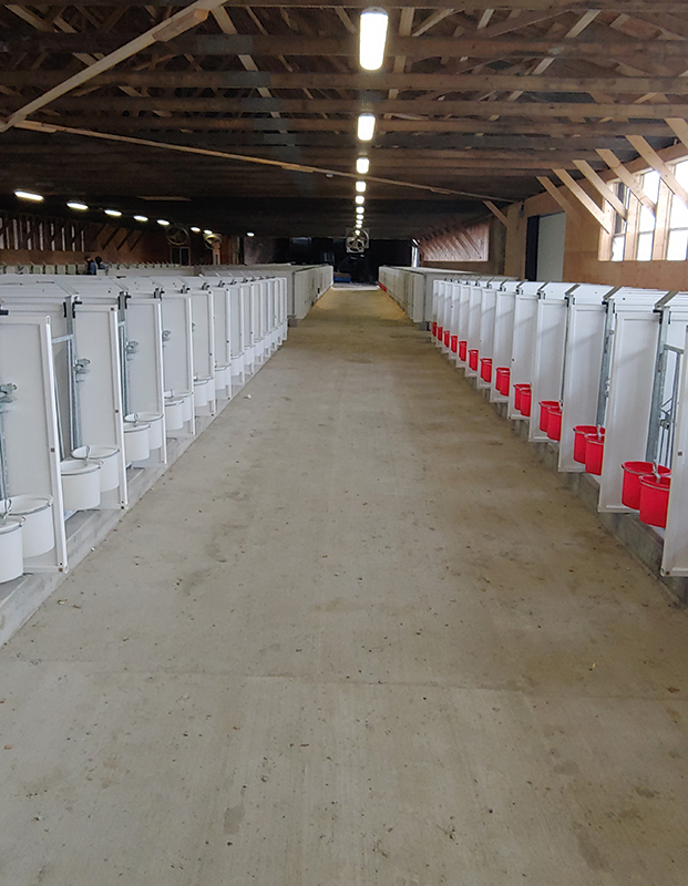 New dairy barn equipment installation
