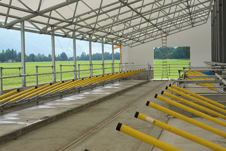 Interior view of newly built dairy cow barn at Cedarbrink Farm in Chilliwack