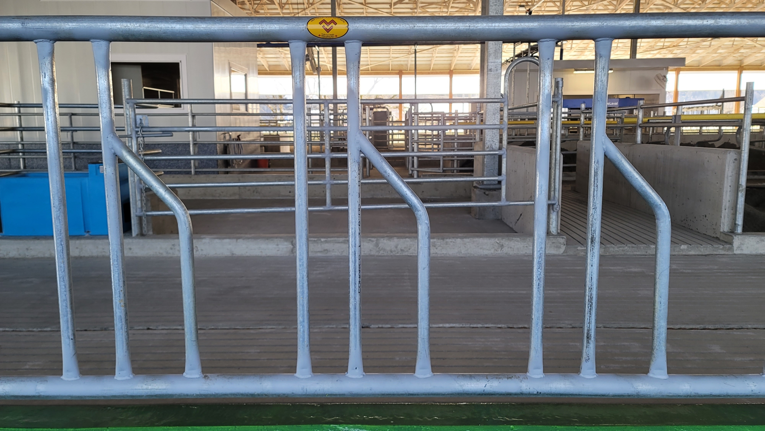 Looking at a water trough and cow crowd gate through metal cow stanchions.