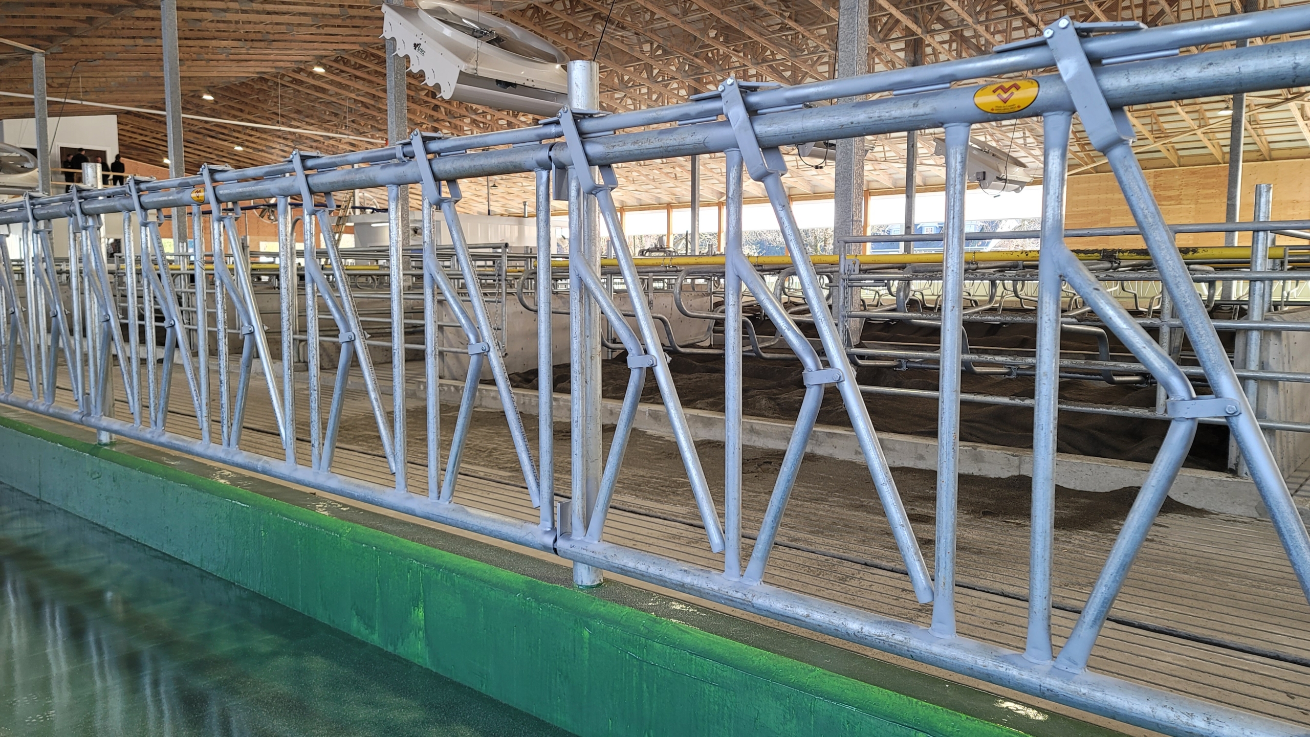 Mid Valley Manufacturing dairy cow stanchions installed in a barn.