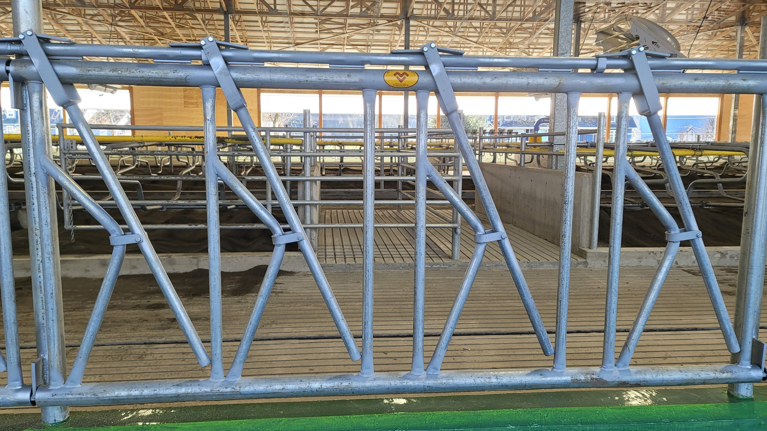 Dairy cow stanchions with Mid Valley Manufacturing logo.