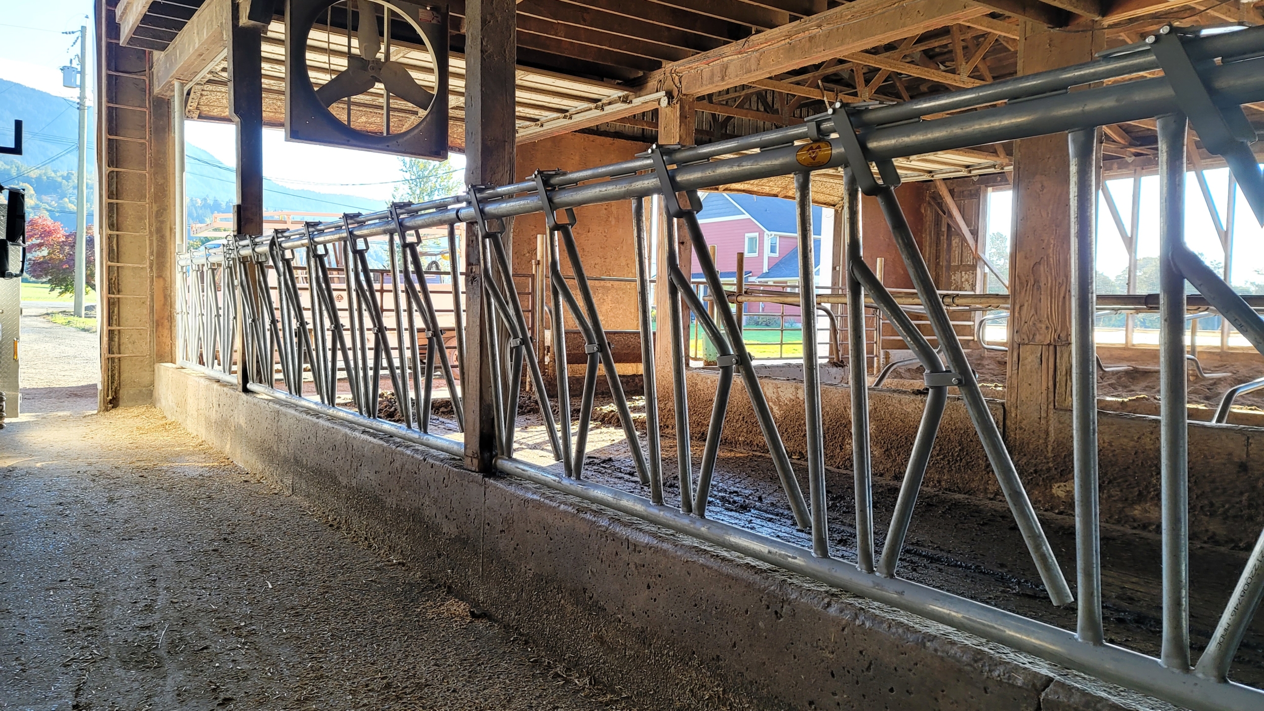 A row of metal cow stanchions installed in a barn.